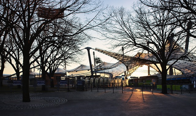 例如在多项 例如在多项