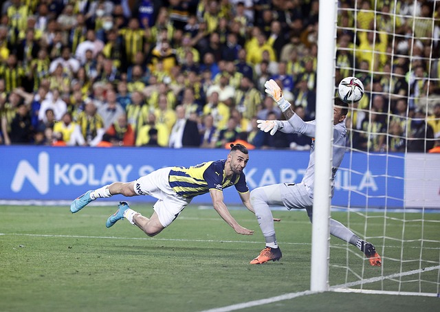 相當高的專 相當高的專